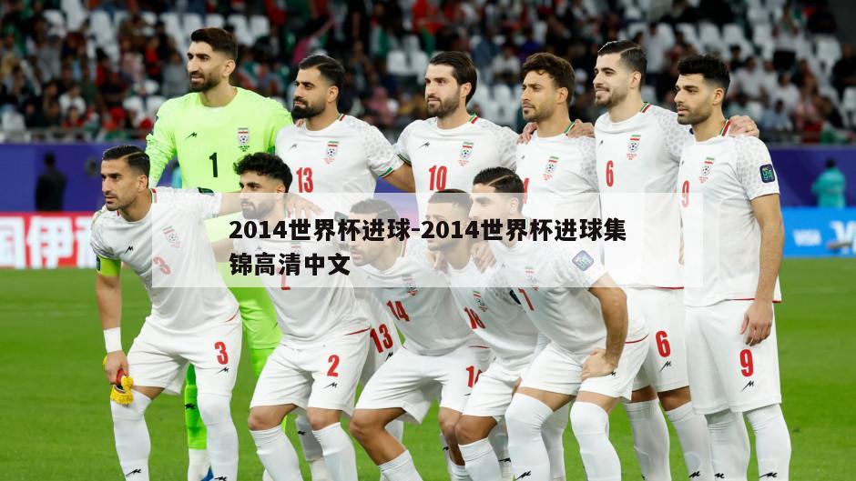 2014世界杯进球-2014世界杯进球集锦高清中文